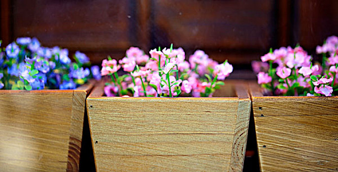 精致的木箱花盆中种着花
