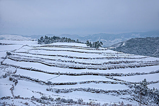 云南东川红土地雪原