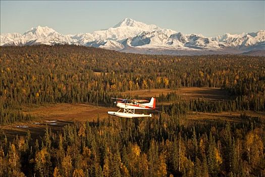水上飞机,飞行,山,麦金利山,背景,阿拉斯加,秋天