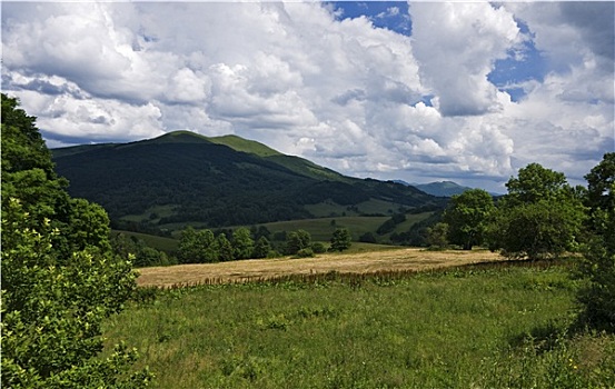 喀尔巴阡山脉,波兰,绿色,山