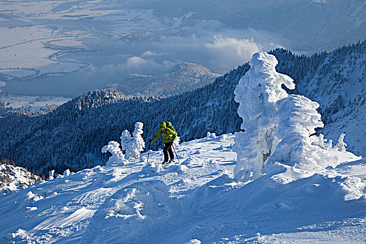 滑雪,旅游,山,瓦尔幸湖,巴伐利亚,德国