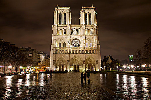 正面,风景,大教堂,夜晚,反射,湿,石头,巴黎,法国,欧洲