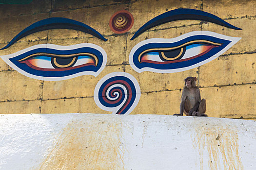 佛塔,猴庙,加德满都,尼泊尔