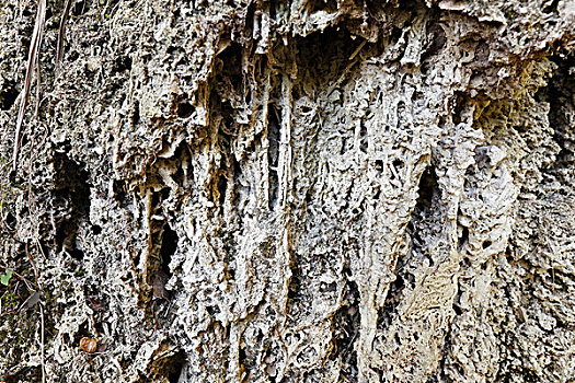 石灰石,十六湖国家公园,克罗地亚,欧洲