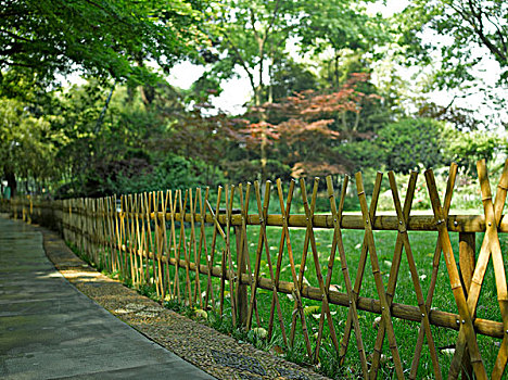 篱笆,公园