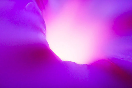 粉色,紫色,抽象,灯