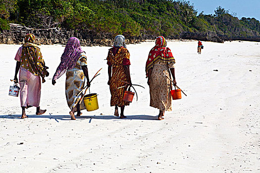 女人,拿,抓住,鱼,桶,桑给巴尔岛,坦桑尼亚,非洲