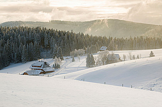 积雪,农场,冬天,靠近,山,布赖施高,黑森林,巴登符腾堡,德国,欧洲