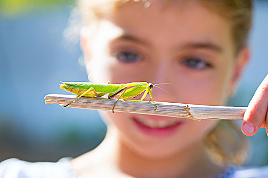 自然学家,生物学家,儿童,女孩,看,合掌螳螂