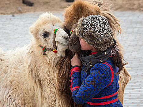 内蒙古阿拉善盟沙漠骆驼
