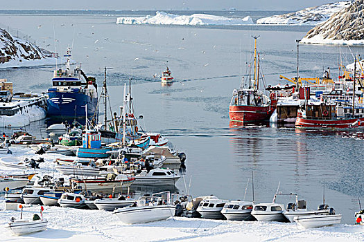 渔船,到达,港口,迪斯科湾,伊路利萨特,格陵兰