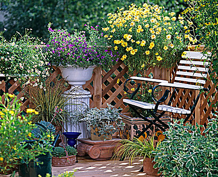 露台,木质,栏杆,光荣,花,发光,阳光