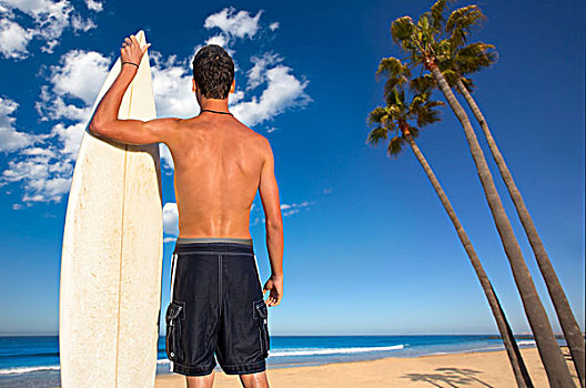 男孩,冲浪,背影,后视图,拿着,冲浪板,加利福尼亚,棕榈树,海滩