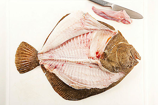 大菱鲆,鱼肉,切削,肉片,第三步