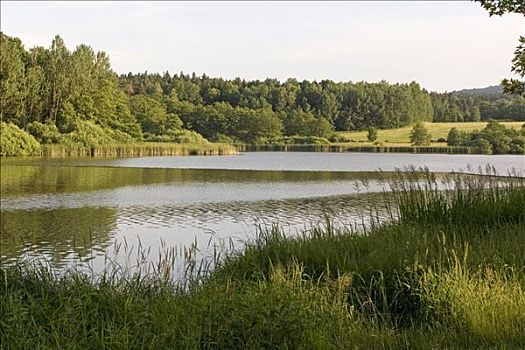 水塘,捷克共和国
