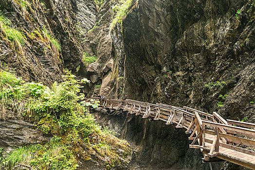 木桥,岩石,峡谷,萨尔茨堡,奥地利,欧洲
