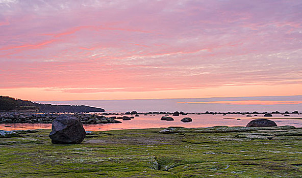 粉色,日落,海上,靠近,石头,海岸