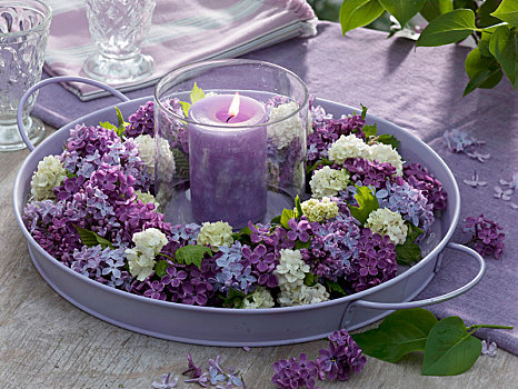 蜡烛,花环,丁香花,丁香,荚莲属植物,雪球