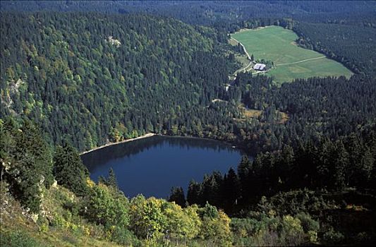 湖,黑森林地区,黑森林,德国