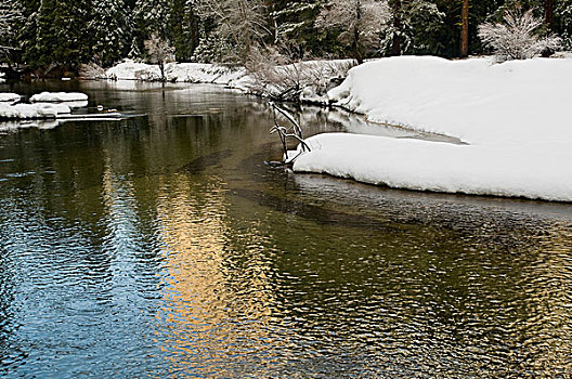 河,冬天,优胜美地国家公园,美国