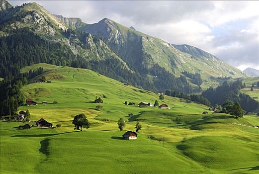 高山牧场,薪水,伯恩高地,航拍,瑞士