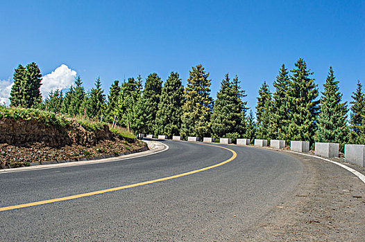 森林道路