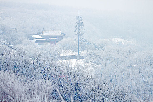 雪染花果山