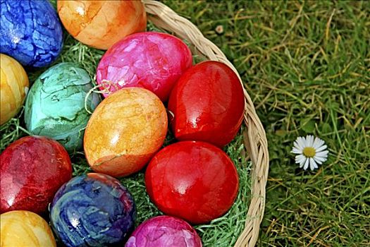 彩色,复活节彩蛋,篮子,草,雏菊,复活节