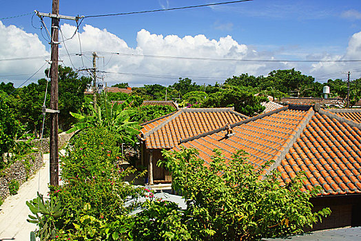 岛屿,冲绳,日本