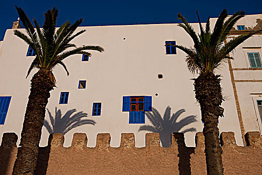 棕榈树,堡垒,墙壁,苏维拉,摩洛哥