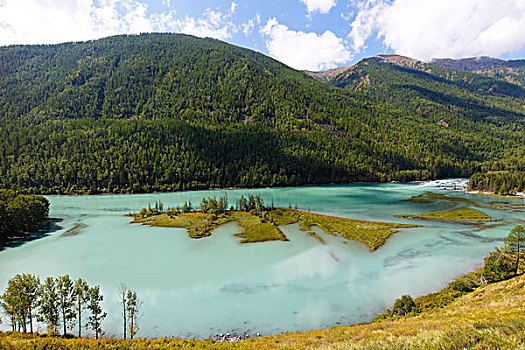 新疆,阿勒泰,喀纳斯湖,自然风景,旅行