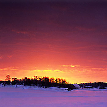 日落,上方,积雪,风景