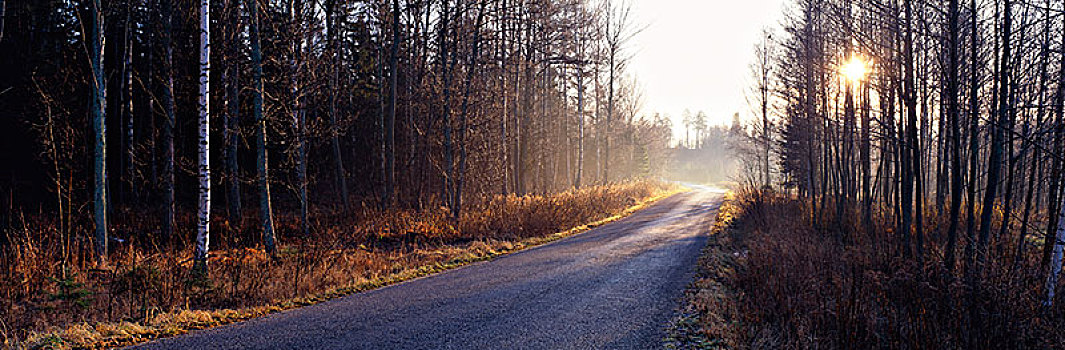 十二月,道路,高地,瑞典