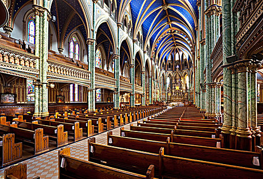 圣母大教堂,大教堂,渥太华,安大略省,加拿大