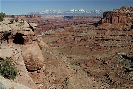 俯拍,岩石构造,风景,峡谷地国家公园,犹他,美国