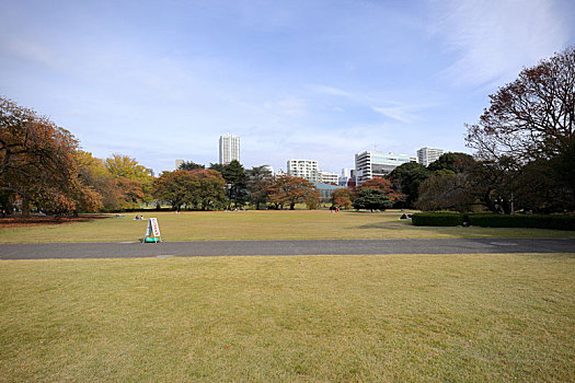 日本东京新宿御苑