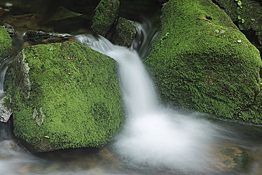 山谷,河流,石头