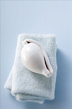 海螺壳,毛巾