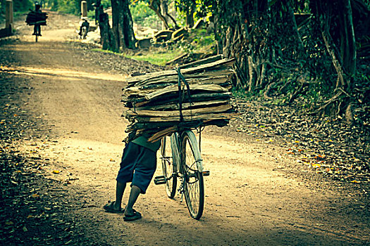 骑自行车,土路,丛林,柬埔寨