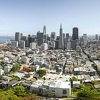 旧金山,从科伊特塔,coit,tower,俯瞰旧金山