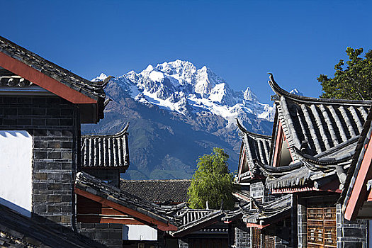 建筑,城镇,山,背景,玉龙雪山,丽江,云南,中国