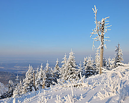 雪,遮盖,风景,格罗塞尔,图林根州,德国
