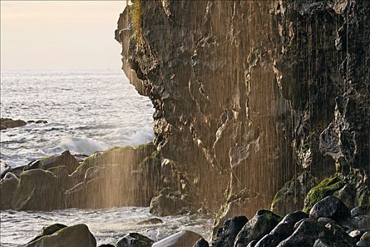 悬崖,岩石海岸,小,瀑布,马德拉岛,葡萄牙