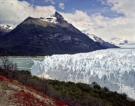 莫雷诺冰川,草原,安第斯山,巴塔哥尼亚,阿根廷,南美