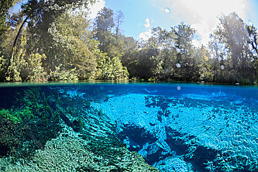 上方,图像,展示,清晰,蓝色,水,佛罗里达