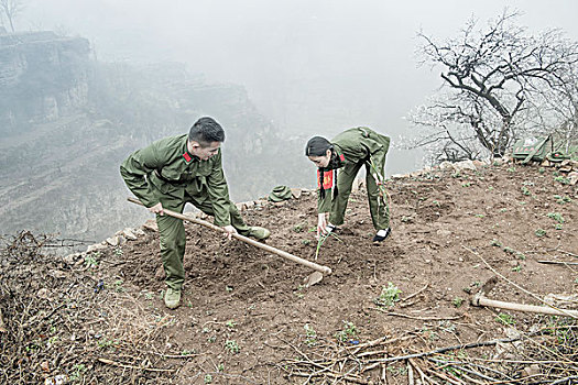 剧情,山村,山地,锄头,干活,杏花,雾