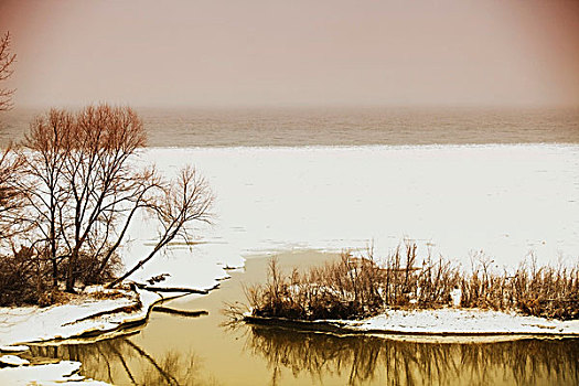 安大略省,加拿大,雪,岸边,安大略湖