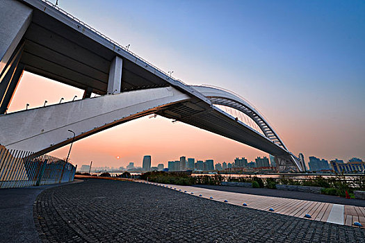 上海泸浦大桥