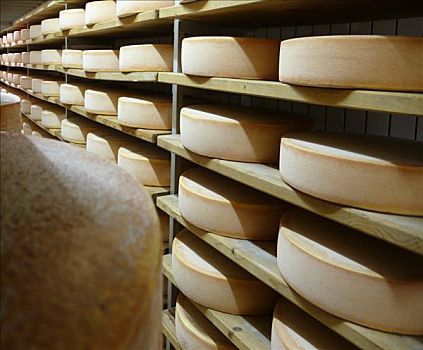 奶酪,储藏室