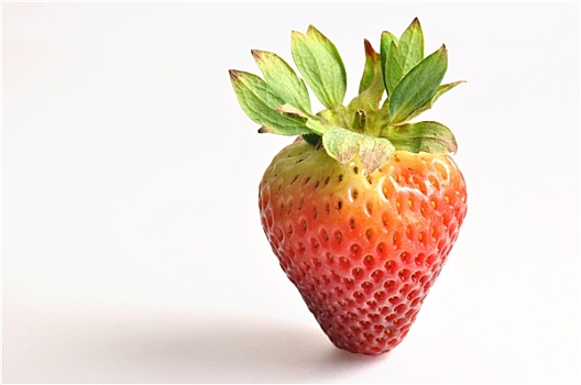 新鲜,草莓,白色背景,背景